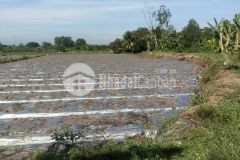 Bán 4000m đất công khu vực long hòa bình thủy.,