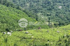 Bán đất xã khánh nam rộng 9ha6 ngang hơn 300m giá rẻ lh 0788.558.552