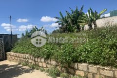 208m2 đất xd hoàn toàn ở đường vạn hạnh.p8