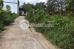 Cần bán 4 nền đất tại ấp mỹ hưng, xã mỹ phong