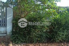 Bán đất thôn tự thành xã hòa khánh bmt giá 670 triệu