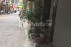 Nhà phân lô, ô tô tránh, 42m2 x 2 tầng, phố tân mai, quận hoàng mai.