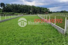 Cần sang nhượng lô đất vườn đường võ văn điều, đất vườn giá rẻ củ chi