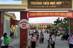 Giá đầu tư chỉ 500 triệu hợp đức, đồ sơn, hải phòng