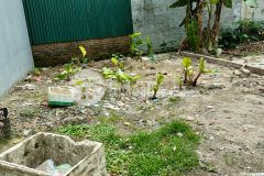 Bán đất dv phú lãm, hà đông, 45m, phân lô, ô tô, chỉ 3.65 tỷ