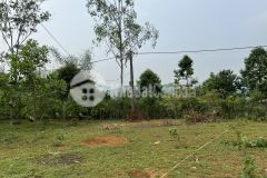 Bán gấp 311m2 trong đó có 160m2 thổ cư còn lại là đất vườn chỉ với 750tr,vị trí phù hợp làm famstay