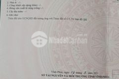 Bán đất kinh doanh chợ định trung, vĩnh yên, vĩnh phúc diện tích 100m2 giá 3.9 tỷ