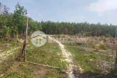 Tân tiến lagi view trên cao nhìn hồ 2,6 ha 12 tỷ