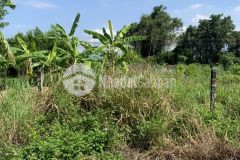 Mua 1 tặng 1 thôn an ninh, diên an.