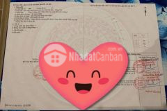 Cân ban đất vị trí vàng giá rẻ tại huyện đất đỏ, tỉnh bà rịa vũng tàu