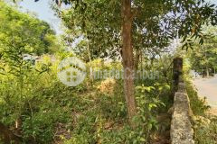 Bán nhanh 900m trong đó có 400m thổ cư còn lại là cln, lô đất có vị trí xung quanh là các dự án lớn