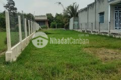 Đất 9 x 43, thổ cư, sổ riêng tại gò dầu chỉ 1,27 tỷ