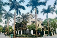 Bán biệt thự khu vườn đào, phú thượng, tây hồ. dt 180m2, mt 25m