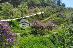 Bán nhanh 7473m2 đất view săn mây. ngay trạm hành, tp đà lạt. cho khách đầu tư, nghĩ dưỡng