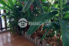 Bán nhà hxh, đường nguyễn bá tòng, phường 11, quận tân bình. dt 90m2. giá 15 tỷ. mặt tiền 5m.