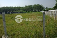 Bán 1253m2 đất mt đường vành đai 4 xã an điền tx bến cát, shr, 22trm2. lh0985641781