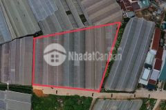 Gia chủ cần tiền ra đi nền đất ngay vạn kiếp chỉ 11trm2