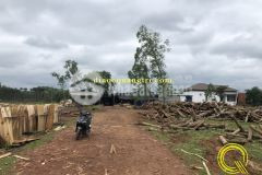 Bán đất quảng trị khu phố nam hùng, thị trấn cam lộ,cam lộ, tỉnh quảng trị