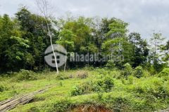 Bán gấp 3494m2 trong đó có 3000m2 thổ cư còn lại là đất vườn