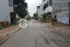 Bán lô góc 223m2 khu 31ha trâu quỳ gia lâm hà nội