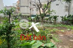 Hai mặt ngõ ô tô tránh tiềm năng tăng giá cạnh kđt linh đàm 65m2 đất 4.25t. lh 0367819123.