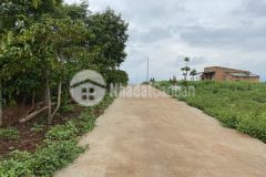 Bán nhanh lô đất nghĩ dưỡng 27x 45m sát đà lạt tại phi tô. lâm hà. lâm đồng. giá 1.25 tỷ