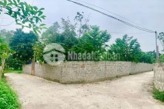 Bán đất gần ngay kcn vitto quy mô 90ha tại kim long, tam dương, vĩnh phúc dt 619m2 giá 2.55 tỷ