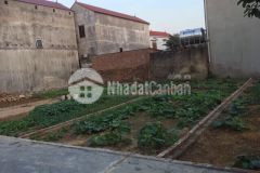 Chính chủ cần bán 60m ô tô sổ đỏ cc gần cao tốc hn thái nguyên gấp cho khách thiện trí