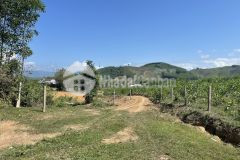 3 lô đất vườn giáp suối hương lộ 62 khánh phú khánh vĩnh chỉ 330km2