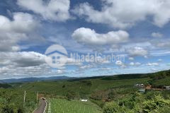 Bán gấp lô đất lấy tiền xây nhà nghỉ dưỡng