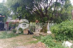 Bán gấp lô đất mặt đường atk 300m2 full thổ cư