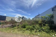 Đất mt đường lam sơn giá đầu tư thuộc xã biển hồ