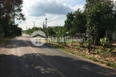 Phú lộc tân phú mặt nhựa, đất ở 20x50 2,6 tỷ