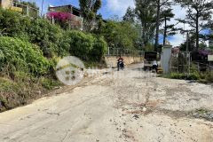 318m2 trong đó có 300m2 đất xây dựng lê thị riêng