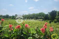 Đất huyện gio linh0328772473