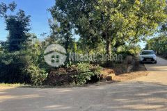 D165 bán đất giá đầu tư buôn ko huyện krong ana tỉnh đắc lắc