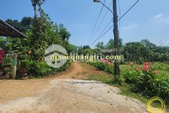 Đất nền giá rẻ gio linh. giá chỉ 4xx, cách chợ chỉ 600m liên hệ em 084 666 1456