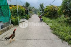 Bán đất suối cát cam lâm đường oto thông thoáng