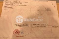 Bán nền đất tái định cư trương trung cấp nghê cam lâm diện tích 200m2 2,6tỷ