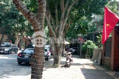 Biệt thự mặt đường lê hoàn hưng phúc tp vinh