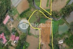 Bán gấp 5000m2 trong đó có 400m2 thổ cư còn lại là cln, lô đất của sự trải nghiệm trang trại vườn