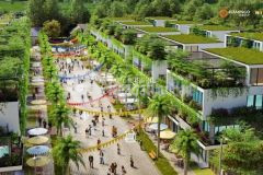 Chuyển nhượng hoặc cho thuê shophouse kinh doanh siêu vip tai dư an flamingo đai lai resoft