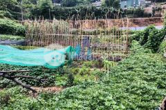 Cần bán đất trần thái tông phường 10 tp. đà lạt