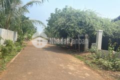 D311 bán đất xã hoà xuân nông trường mía hòa xuân