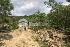 Tân phúc hàm tân 6,8 mẫu 1,5 tỷ mẫu