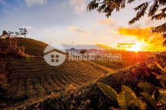 Hot đất nền mộc châu sơn la giá rẻ phạm hoàng duy