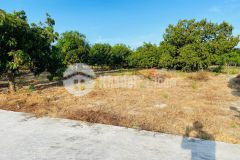 Đất thổ cư cam hải tây cách đầm thuỷ triều 200m mặt đường lê duẩn quy hoạch 40m