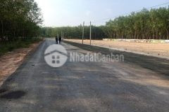 Đất nền đông phú gái rẻ