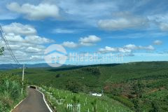 Bán gấp lô đất mặt tiền đường lớn để lo công việc