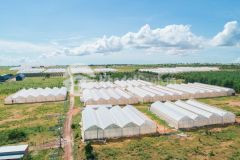 Đất hòa thắng cách đường đt 716 hiện hữu 900m giá chỉ 160km2